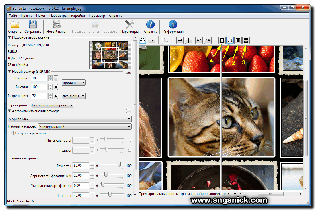 Программа photozoom pro скачать на русском