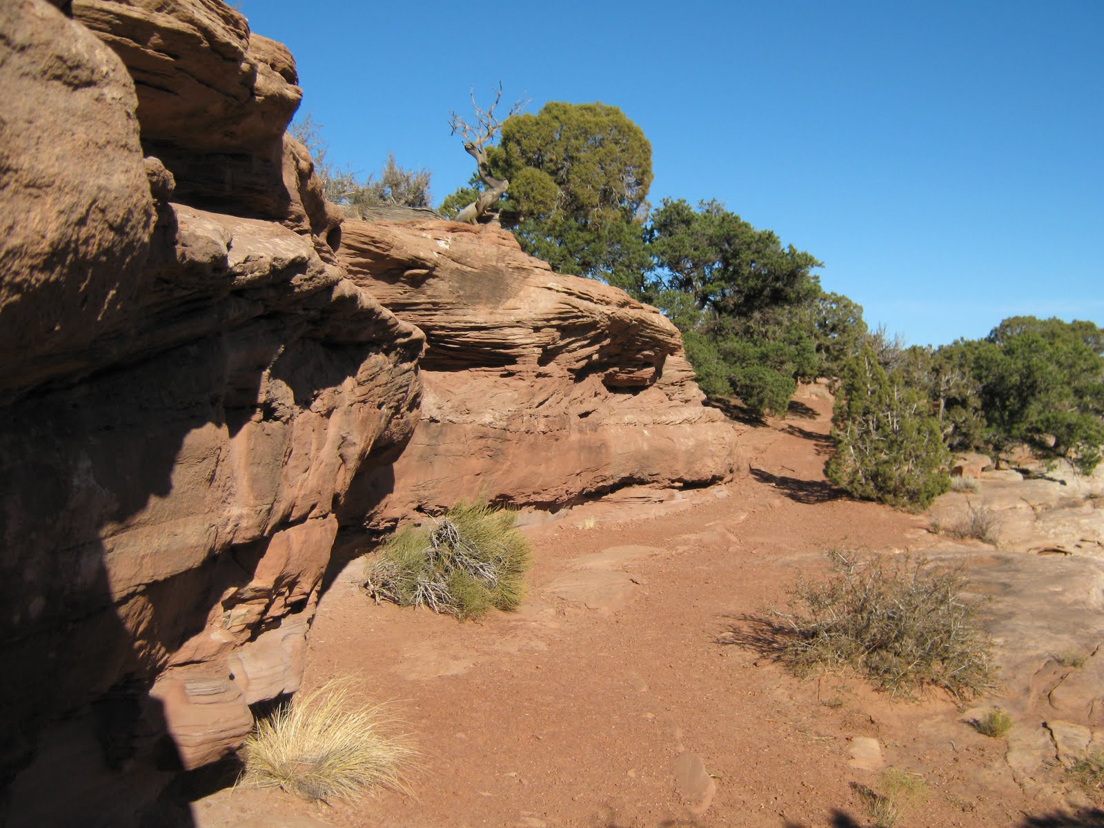 Canyon Rim/Window Rock