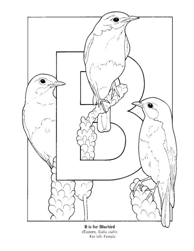Coloring Pages For Letter B ~ Top Coloring Pages