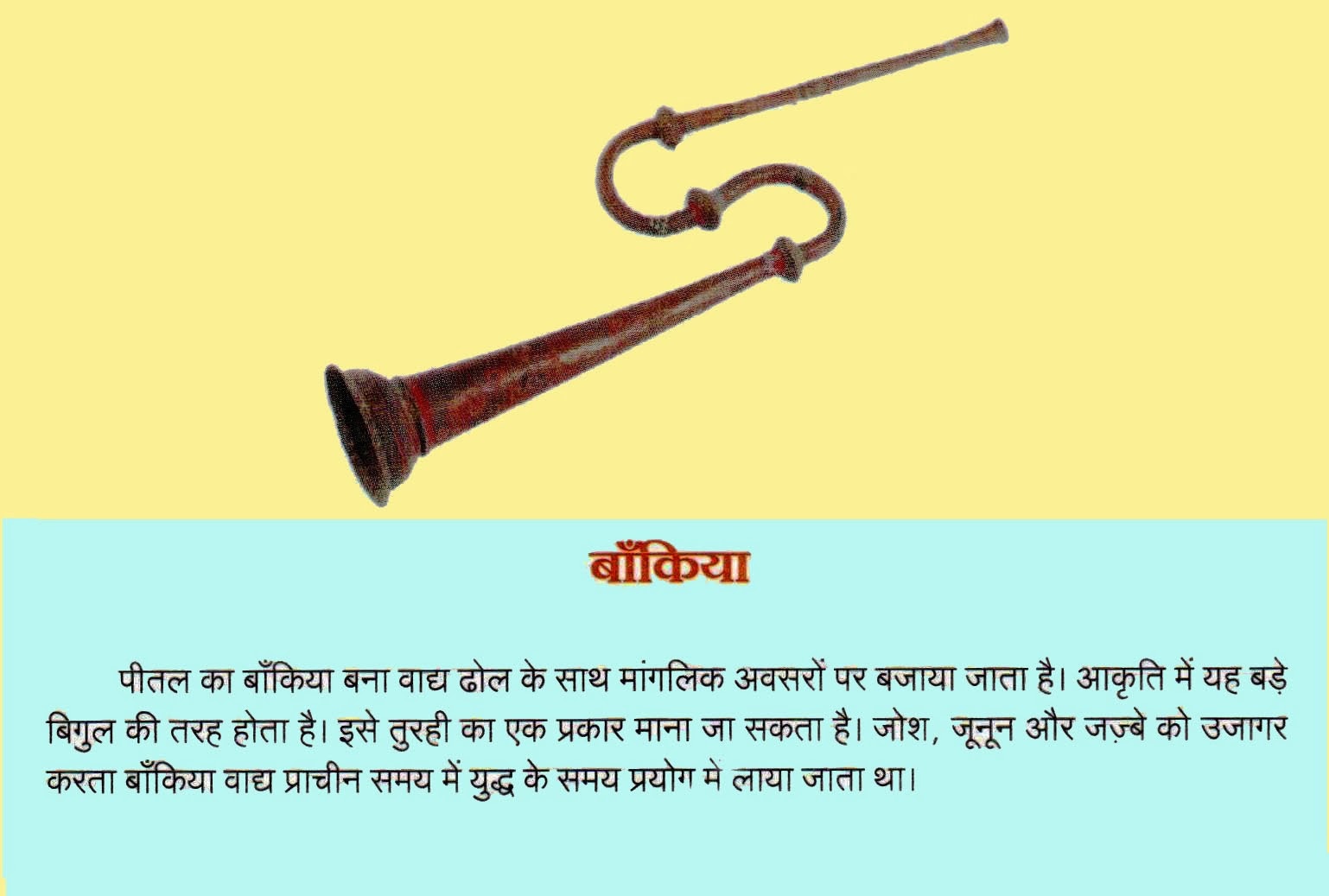 Folk Musical Instruments of Rajasthan अलगोजा, बाँकिया, भपंग, चंग, डमरू