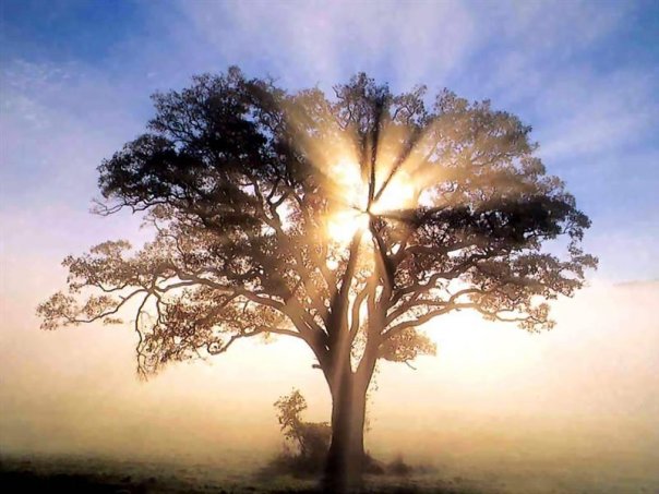 Download Free Sanacion Espiritual E Inmortalidad Pdf Download Free Sanacion Espiritual E Inmortalidad Pdf