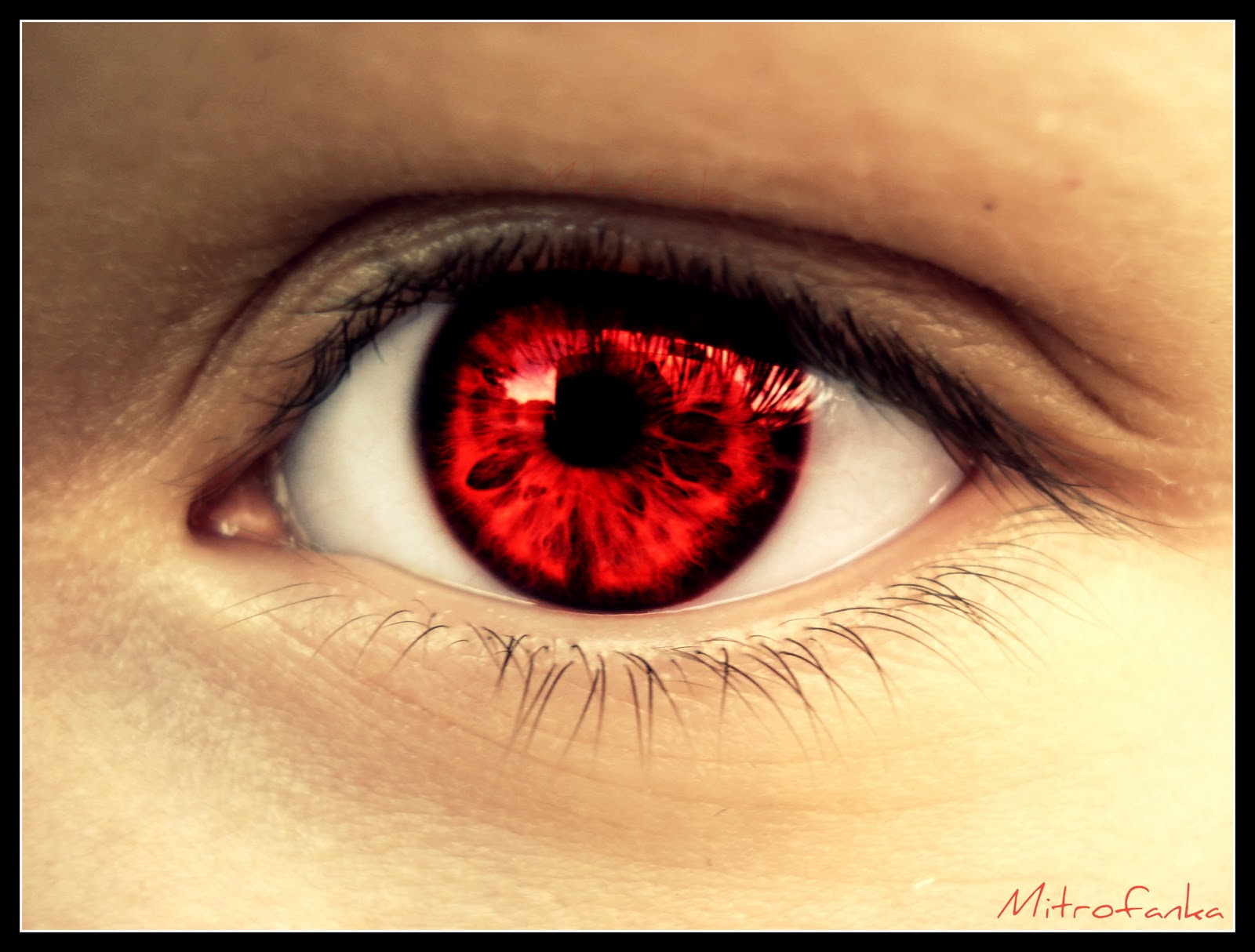 Enjoy your life Red Iris