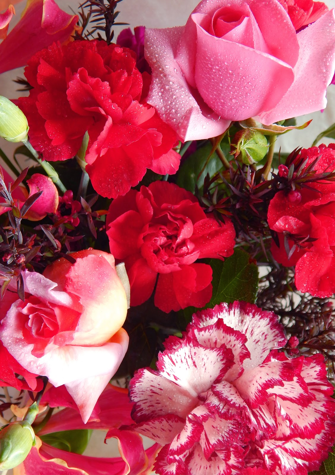 Ellen Giggenbach Flowers glorious Flowers!