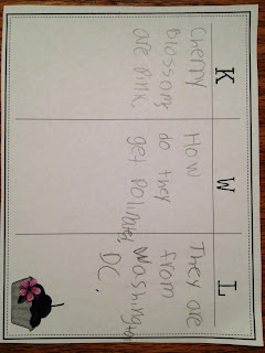 primary graffiti cherry blossom friends frayer model flashcards