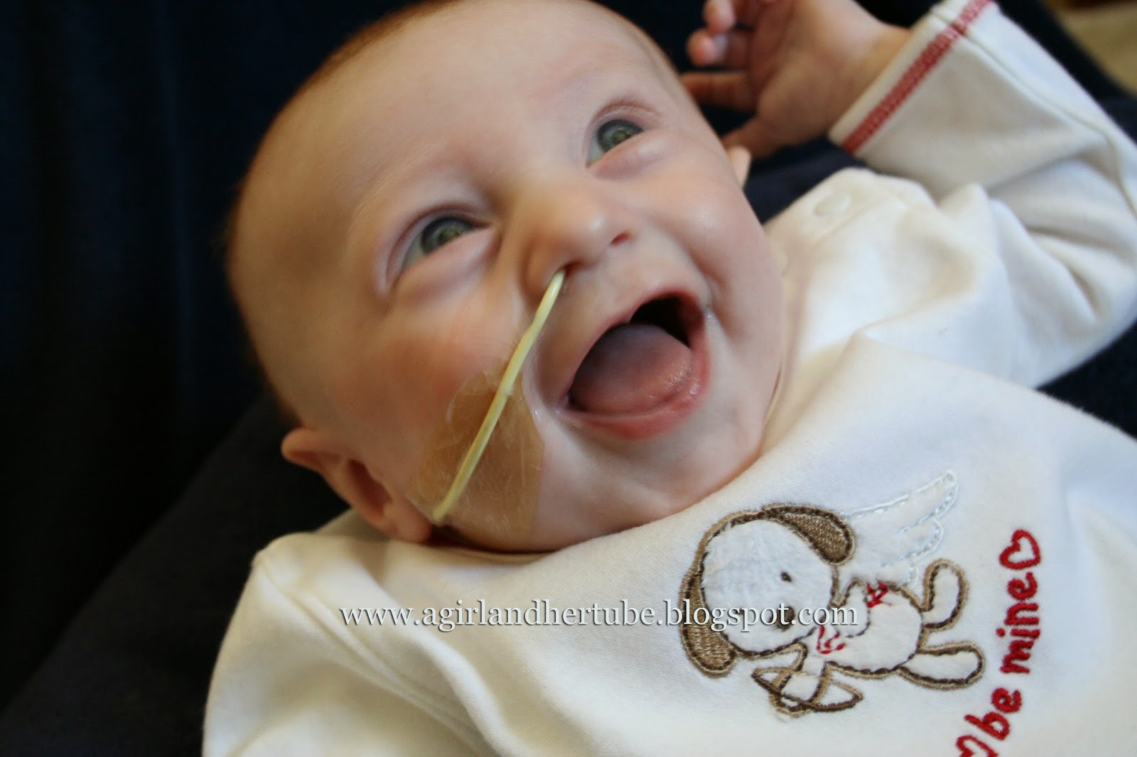 FTA Week 2015 Celebrate Success!