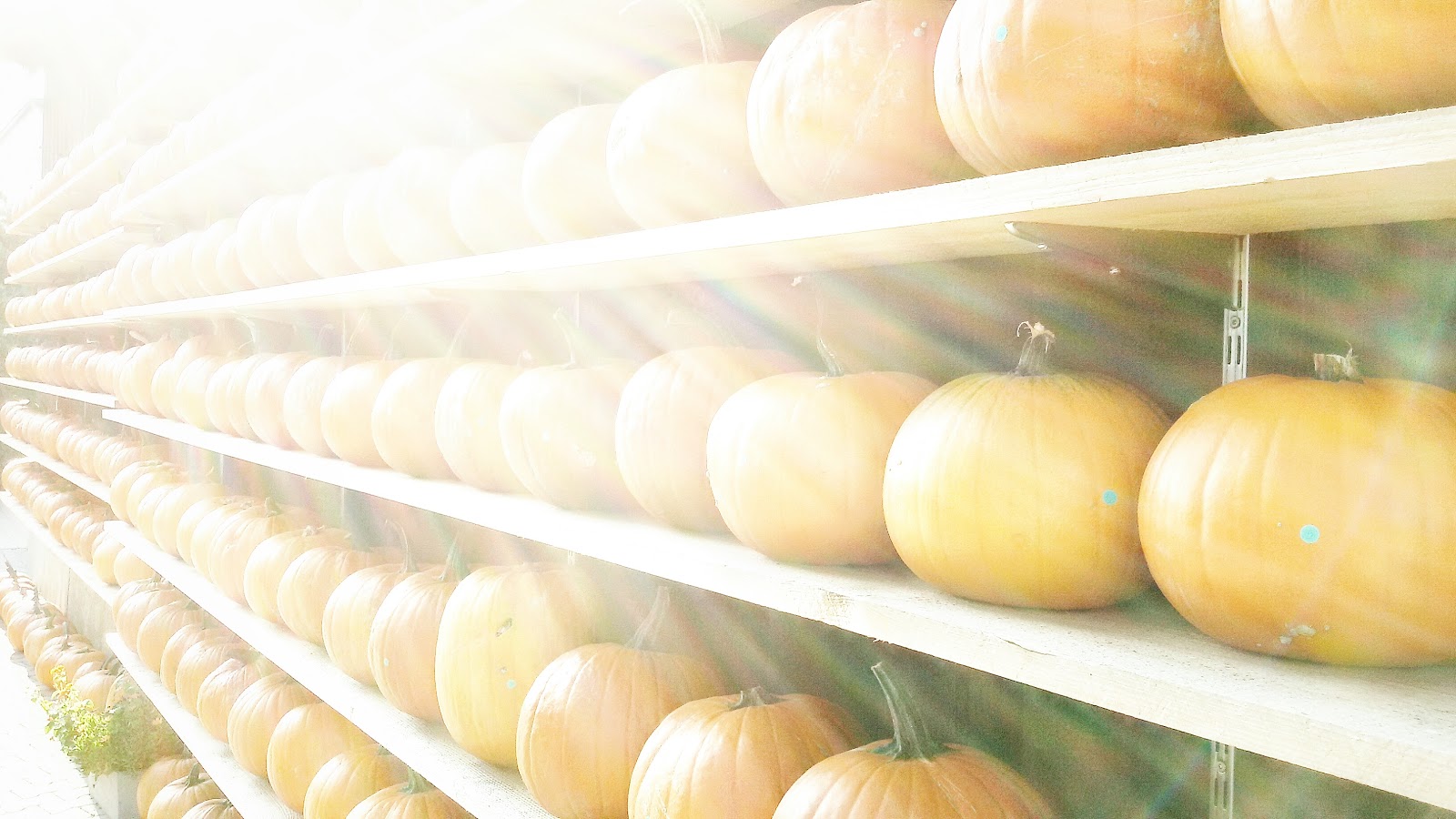 Berlin Fashion Sanzibell Streetstyle Travel Lifestyle