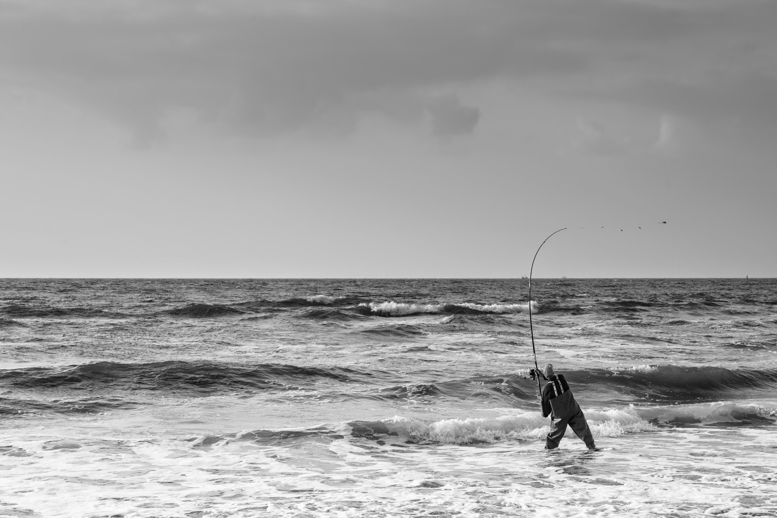 Alles Nichts Mein Texel Reisefuhrer
