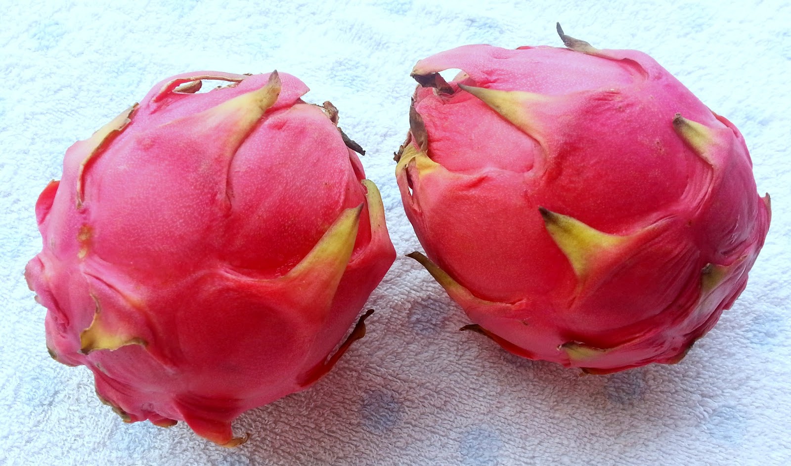 Annapurna Dragon Fruit Jelly with Agar Agar / Vegan Recipe