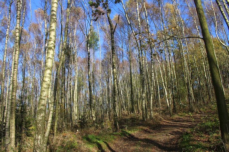 Zwischen Kaltenberg Und Nolde Am Rande Des Lausitzer Gebirges