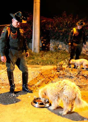 andrey-pinzon-un-policia-rescatista-de-perros-colombia andrey-pinzon-un-policia-rescatista-de-perros-colombia