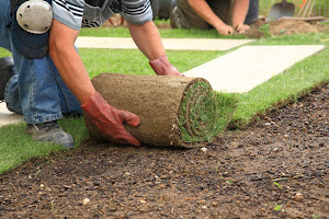 Exceptional Lawn Reno