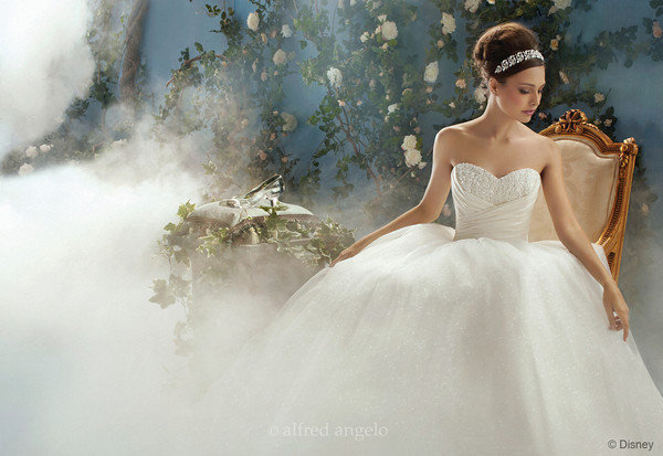 Cinderella Wedding Dress Tyler Living
