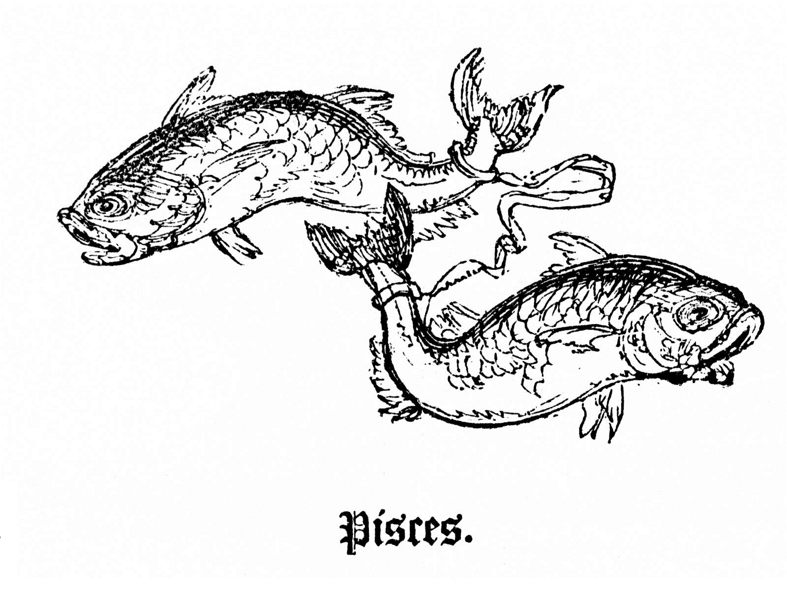 Zodiac Signs Pisces
