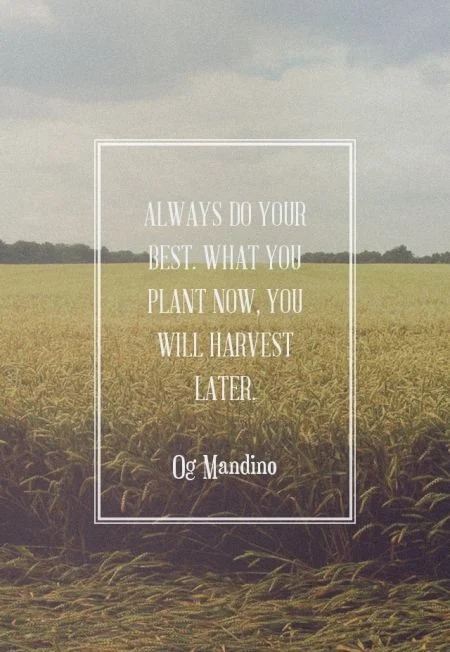 Always do your best. What you plant now, you will harvest later. Og Mandino