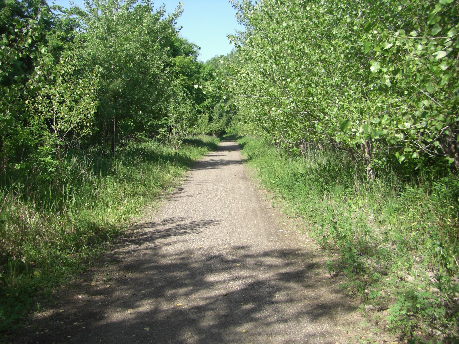 MN Bike Trail Navigator Trail Photo Gallery Minnesota River Bottoms (35W Bridge to Bloomington