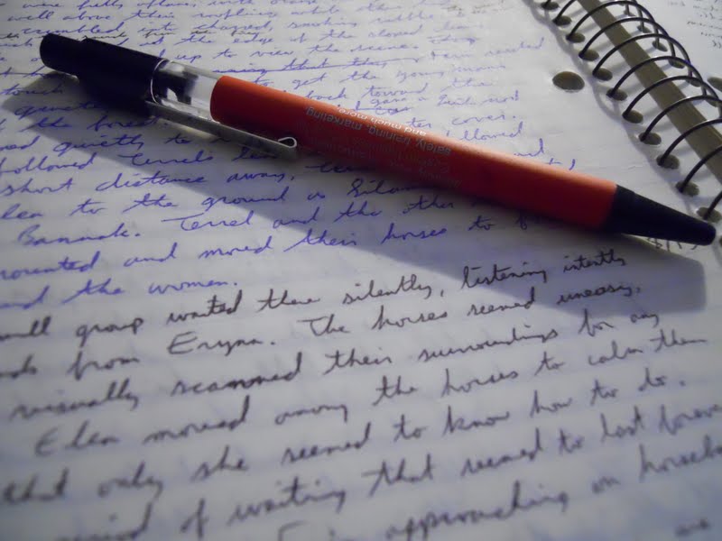 assisi essay introduction assisi essay introduction