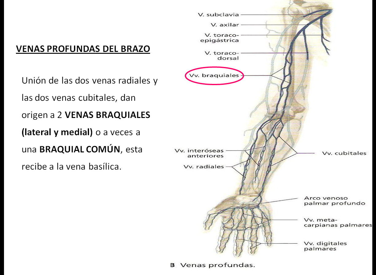 La máscara para la persona que no caía la piel