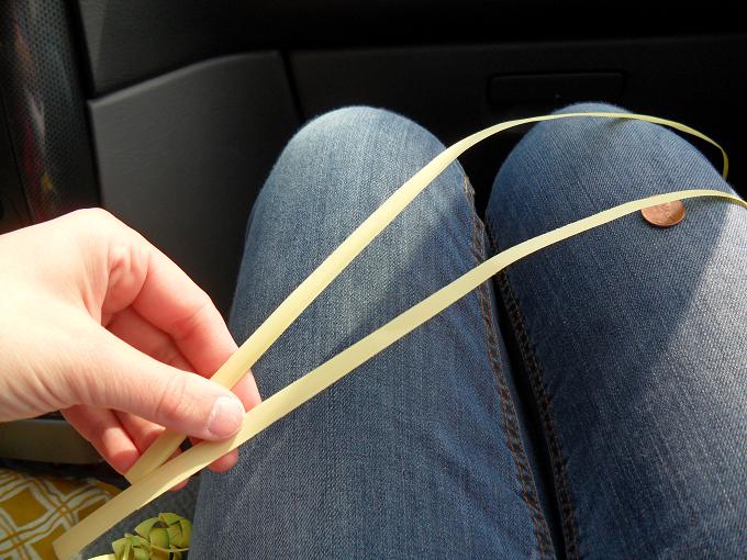 town and prairie Braiding Your Sunday Palms A Tutorial