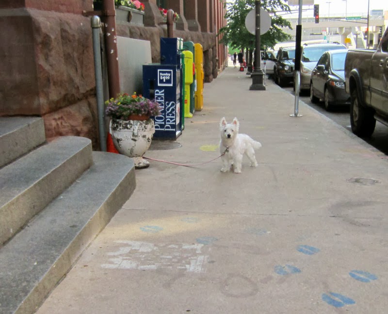 twin city sidewalks Sidewalk Dogs 9