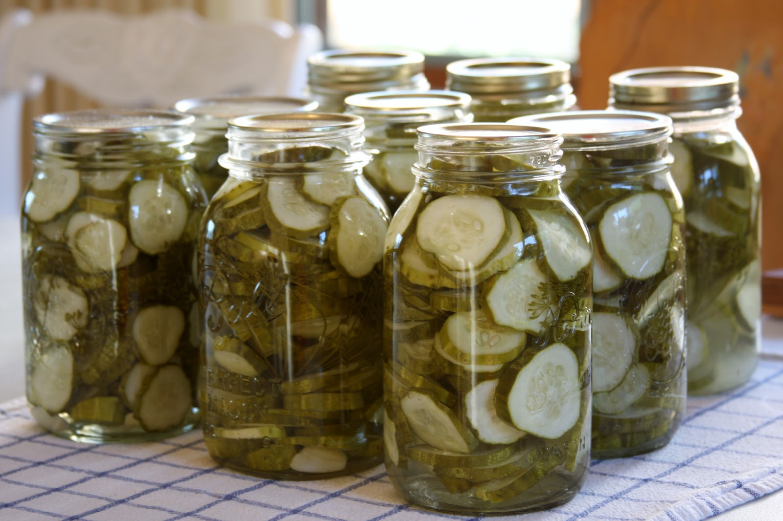 Shannan Martin Writes My Favorite HomeCanned Dill Pickles
