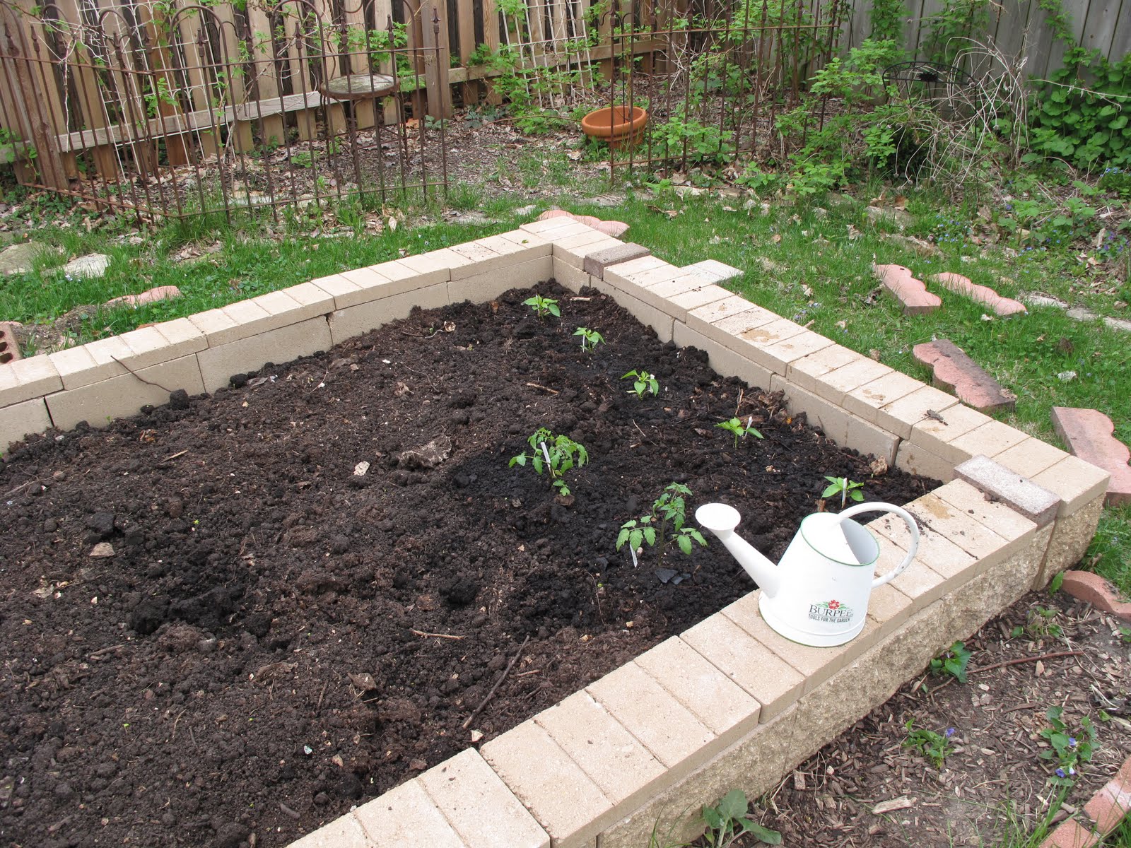 On a side note... More garden updates!