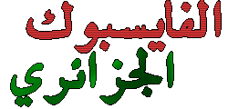 الفايسبوك الجزائري