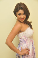 Payal Ghosh Stills