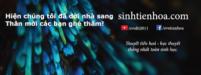 EvoLit - Tiến hóa cho mọi người!