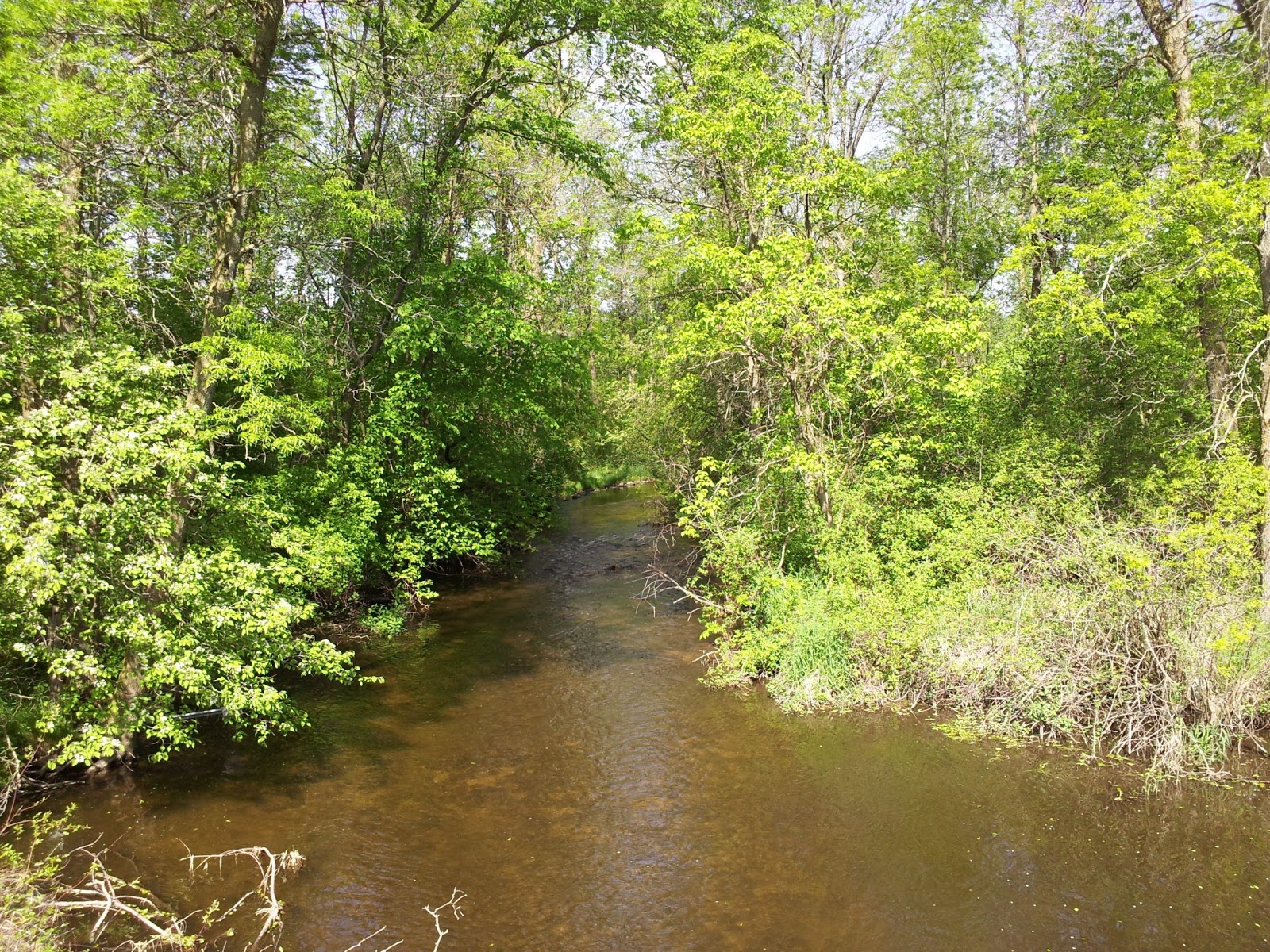 Jeff Smith's Blog The Onion River, Near Waldo Sheboygan County Wisconsin