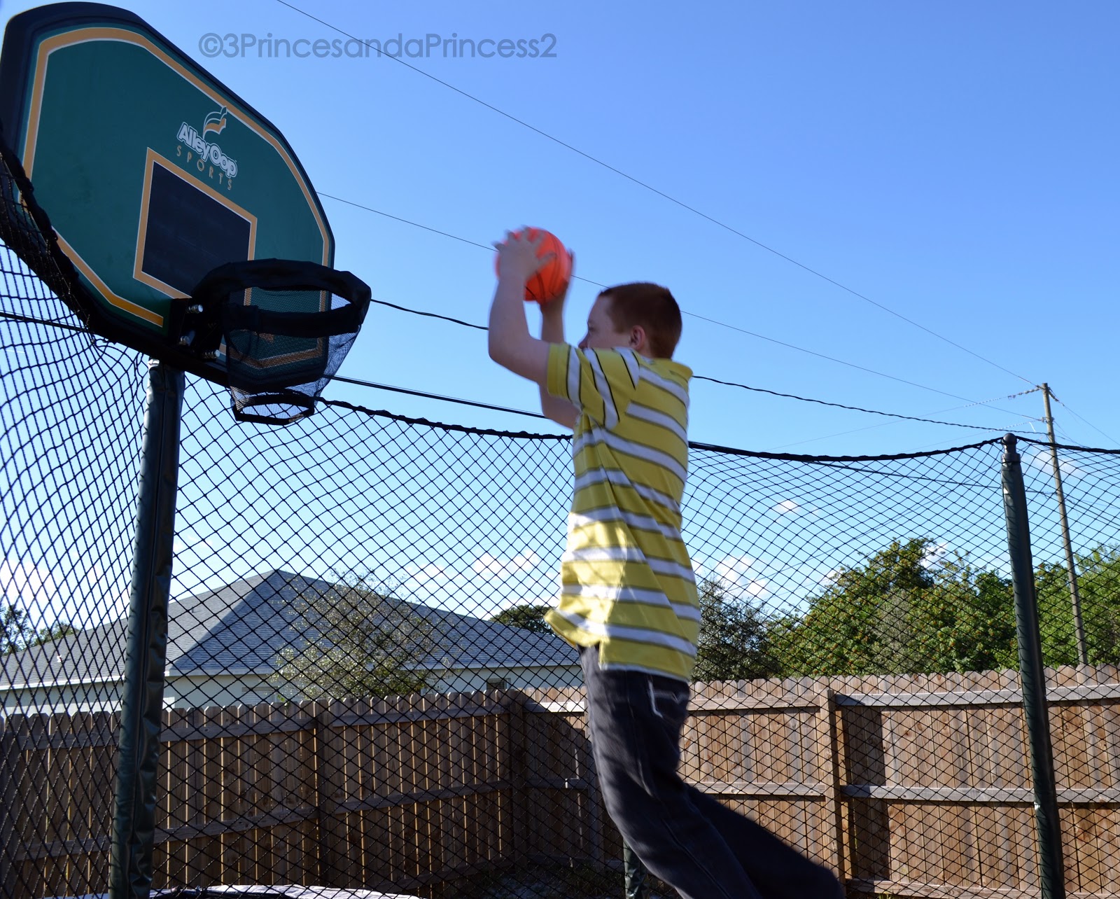 basketball trampoline