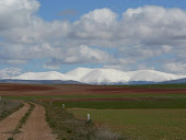 MONCAYO