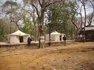 Our Forest camp accomodation inside  Phansad wildlife sanctuary.