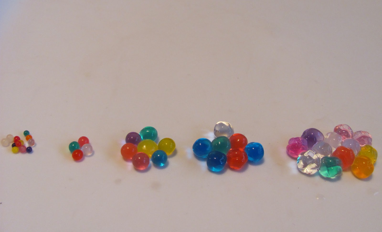 The Chocolate Muffin Tree Experiment Growing And Shrinking Water Beads