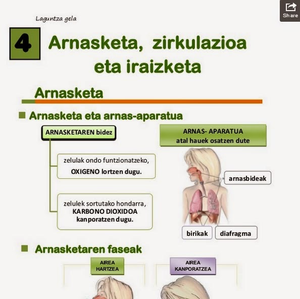 http://www.slideshare.net/idoialariz/5-maila-arnasketazirkulazioa-iraizketa?utm_source=slideshow&utm_medium=ssemail&utm_campaign=upload_digest