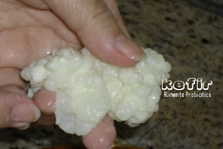 Kefir Alimento Probiótico