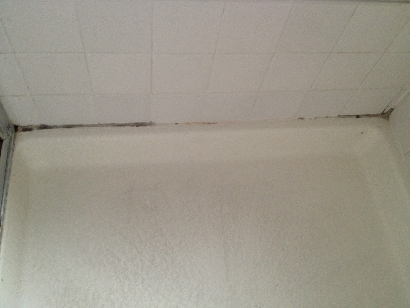 The DIY Guinea Pig Goodbye Shower Mold