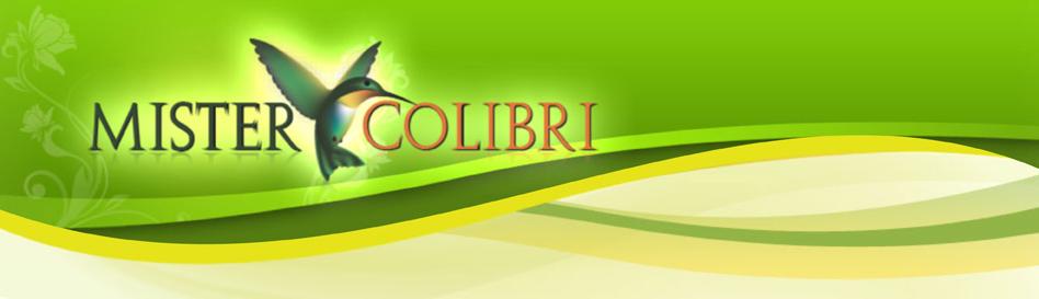 Mister Colibri