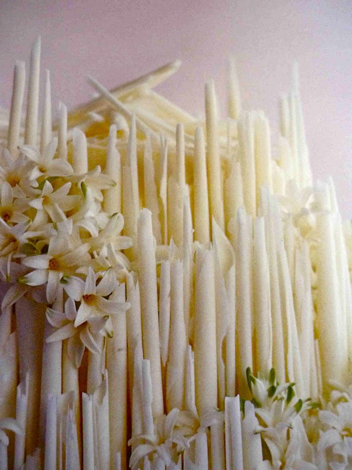 Fiona's Fancies January 2012