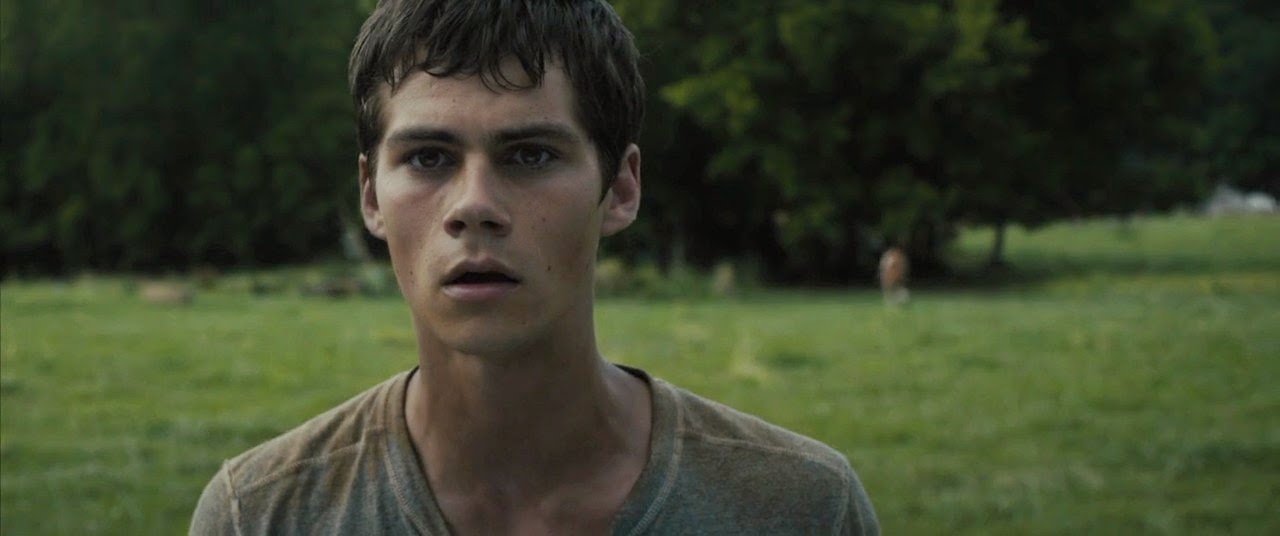 Download Film Maze Runner Bluray 720p | the maze runner 2014 720p bluray english movie free Download Film Maze Runner Bluray 720p | the maze runner 2014 720p bluray english movie free