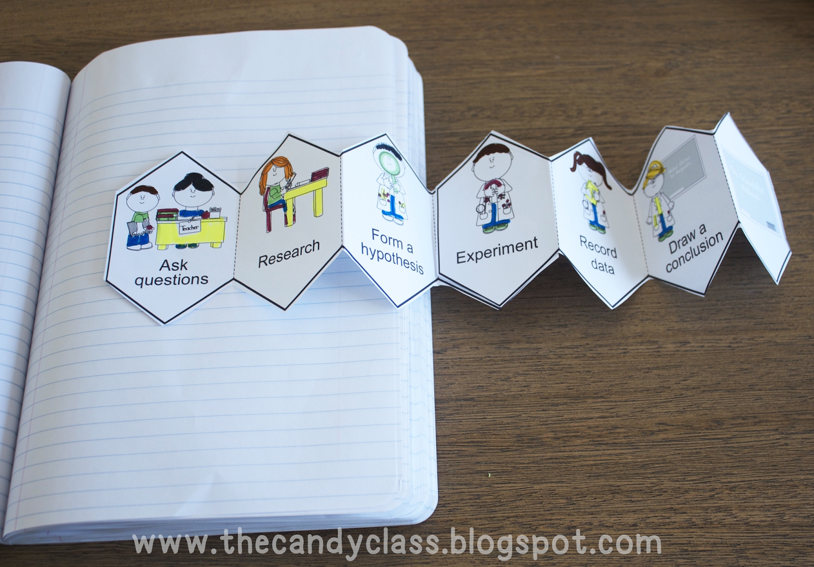 The Candy Class Interview with an Accordion