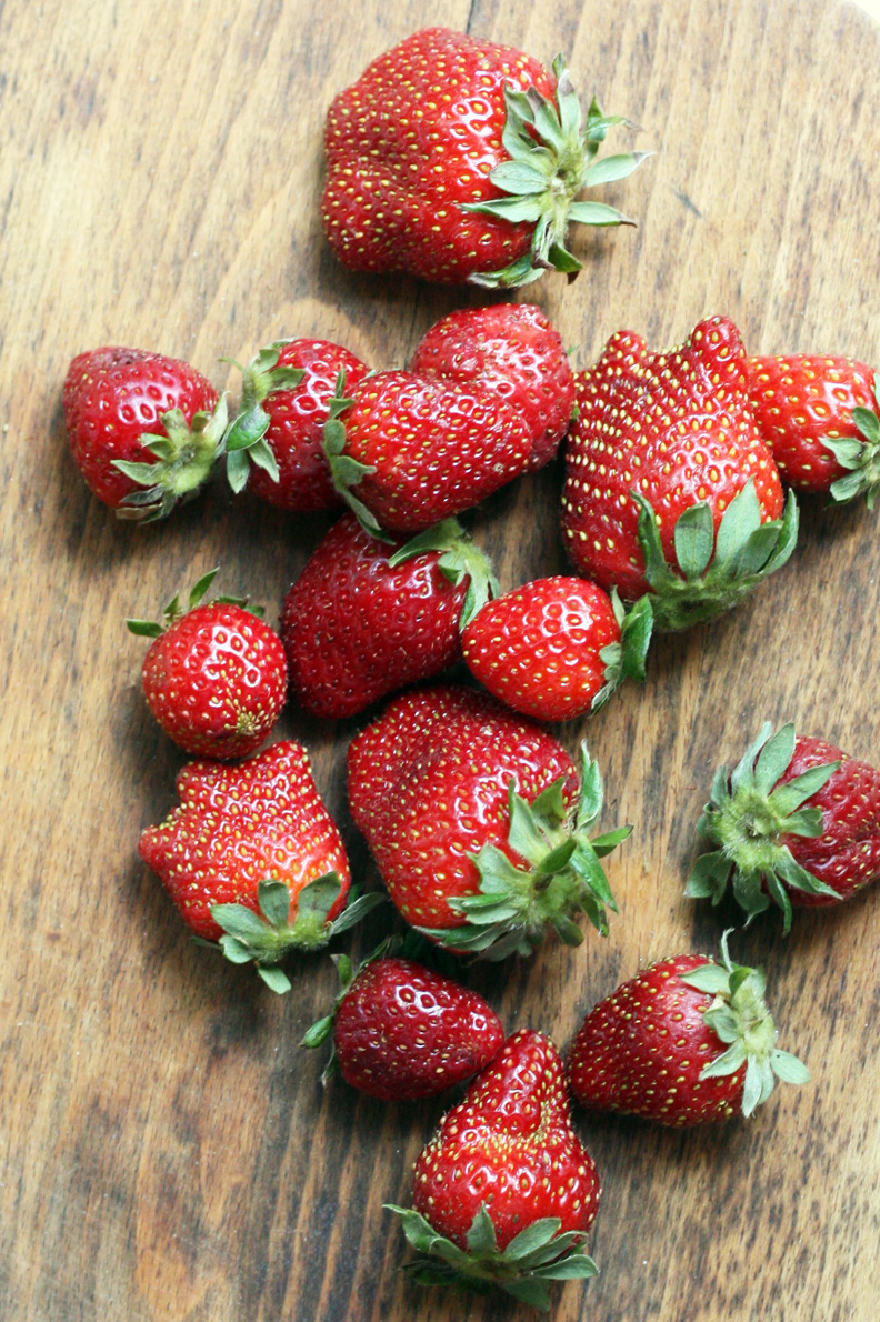 fudge ripple strawberrybalsamic shrub {beverage}