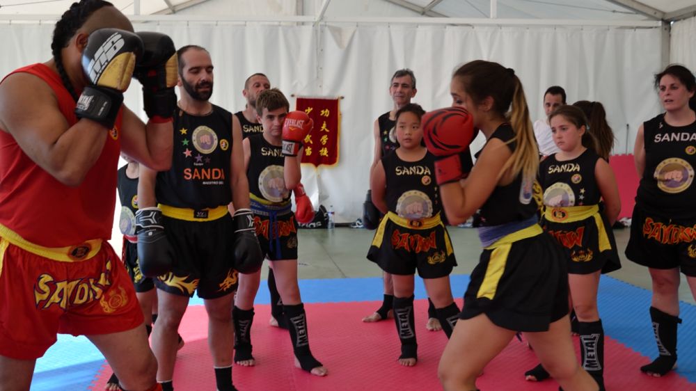 Sanda Fighter Cursos Boxeo Chino Alcala de Henares - Maestro Senna.