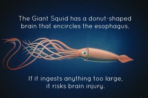 Random poker facts