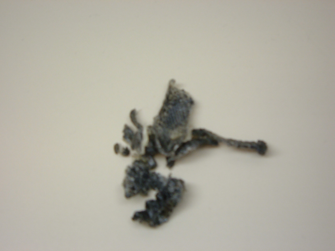 Lush Haul Ocean Salt Jumping Juniper Dark Angels And Others