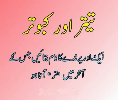 Funny Question To Ask A Girl In Urdu Funny Tricky Questions In Urdu Common Sense Test Interesting Questions In Urdu Point Iq Test Asking deep questions is an important way to get to know your friends or colleagues on a closer level. gitlab