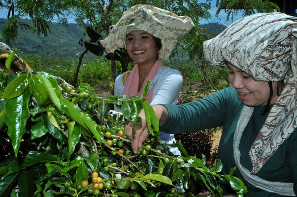 Materi Sosiologi Sma Kelas X Xi Dan Xii Setiap Bab Dan Semester Materi Sosiologi Kelas X Nilai Dan Norma Sosial Materi Sosiologi Sma Kelas X Xi Dan Xii Setiap Bab Dan Semester Materi Sosiologi Kelas X Nilai Dan Norma Sosial