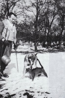 chat fontenay aux roses