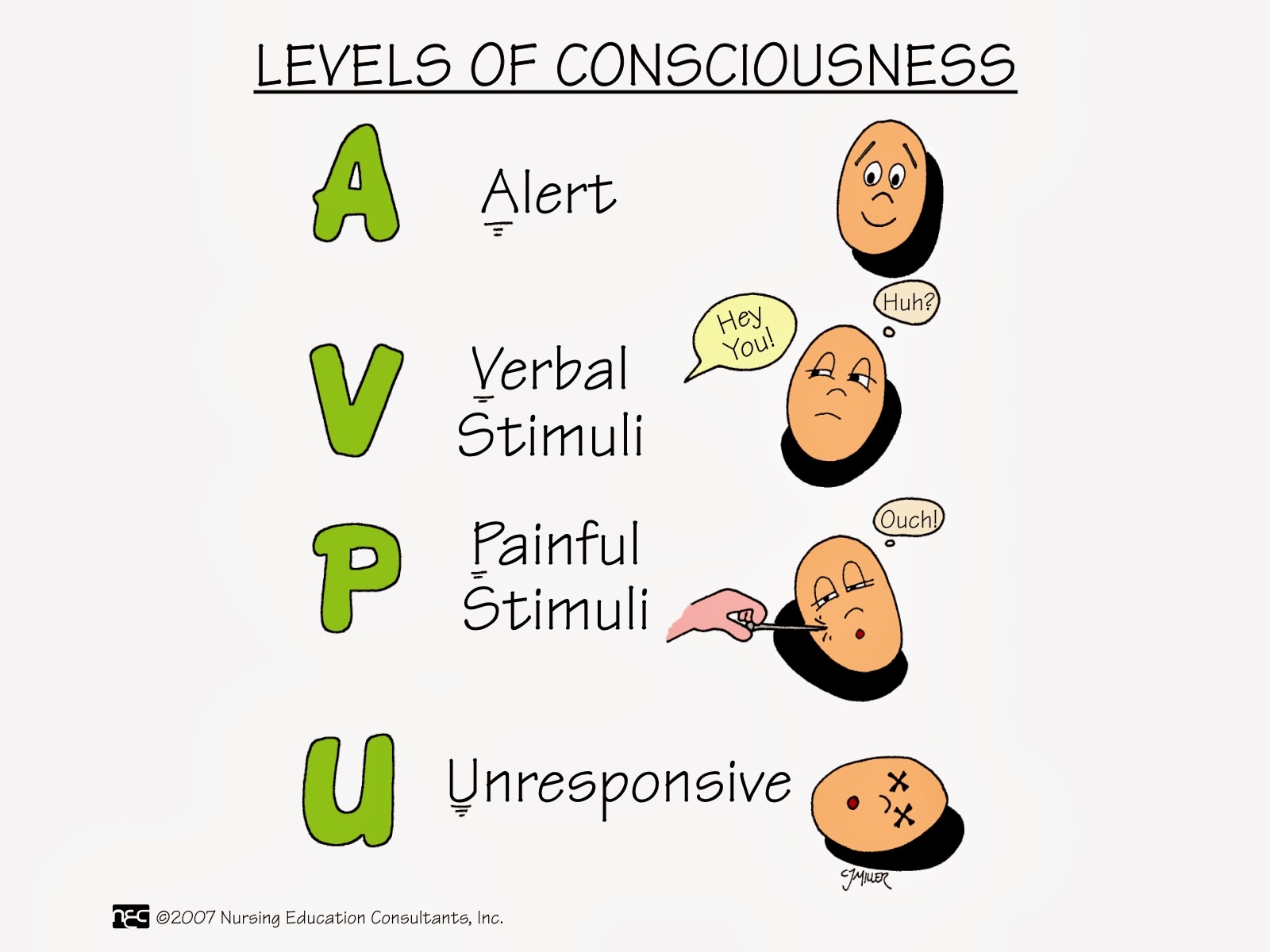 Levels Of Consciousness Class 12 at Gloria Owens blog