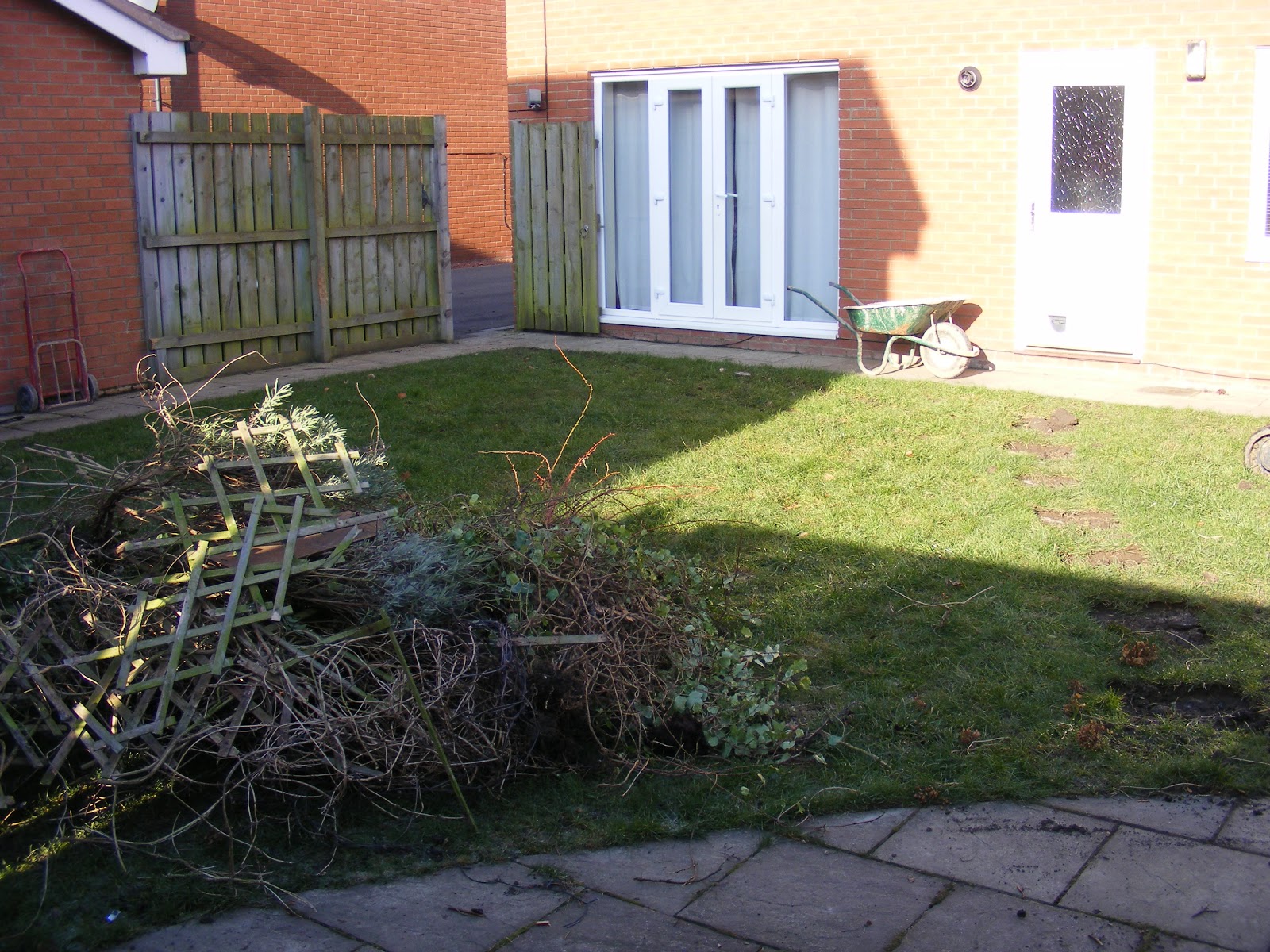 Urban Eden Landscaping: Dog proof garden!