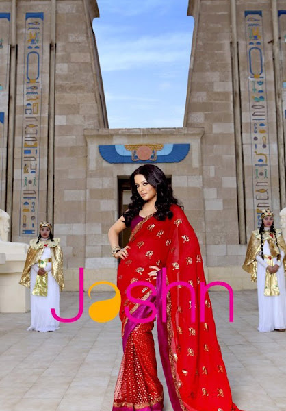 Celina Jaitley Look Hot in Saree wallpapers hot images